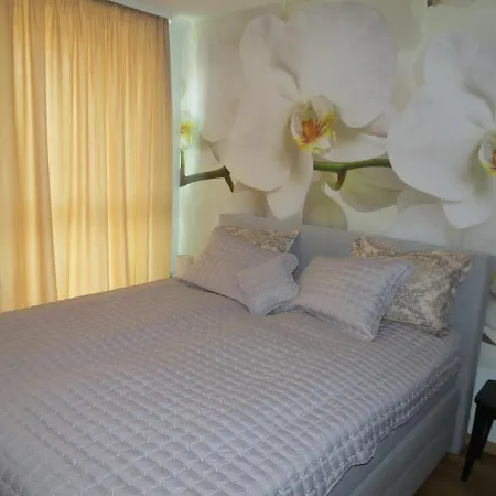 б501. Apartman Szófia
