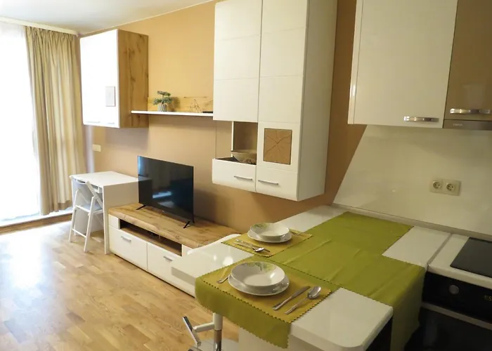 Apartment б501. Sofia