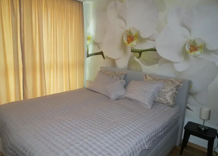 б501. Apartment Sofia